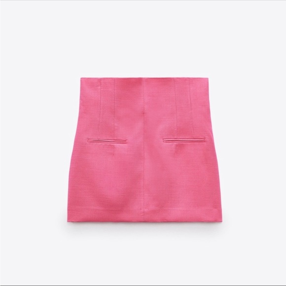 Zara Mini Skirt with Darts - Picture 7 of 8